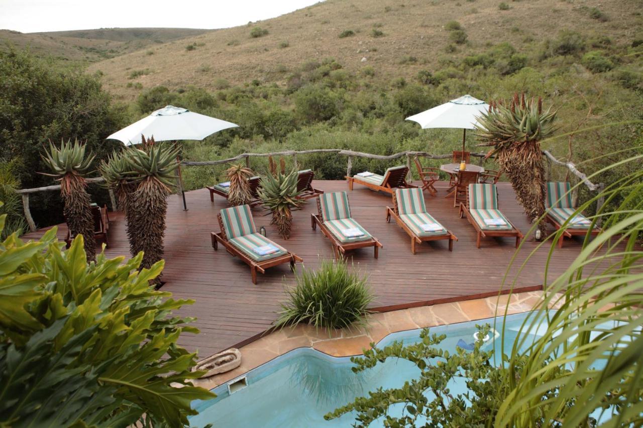 Lalibela Game Reserve Lentaba Safari Lodge Paterson ภายนอก รูปภาพ